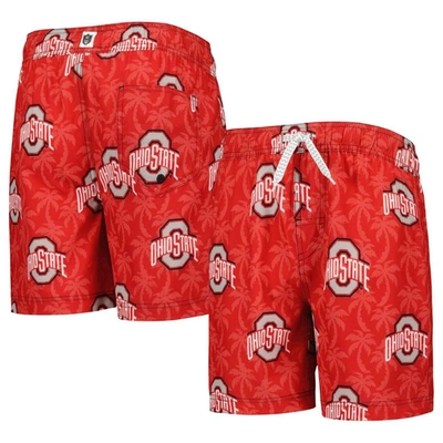 WES & WILLY YOUTH WES & WILLY  SCARLET OHIO STATE BUCKEYES PALM TREE SWIM SHORTS
