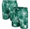 COLOSSEUM COLOSSEUM GREEN MICHIGAN STATE SPARTANS WHAT ELSE IS NEW SWIM SHORTS