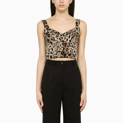 Dolce & Gabbana Animalier Short Corset In Brown