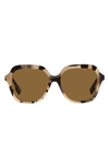 Burberry Women's Joni 55mm Square Sunglasses In Gold Black