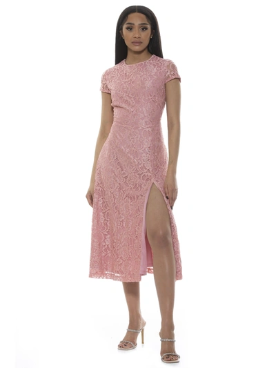 Alexia Admor Riley Lace Fit & Flare Cocktail Dress In Pink