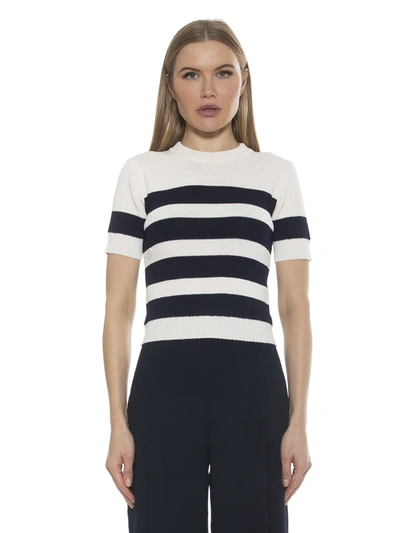 Alexia Admor Pat Stripe Short Sleeve Sweater Top In Multi