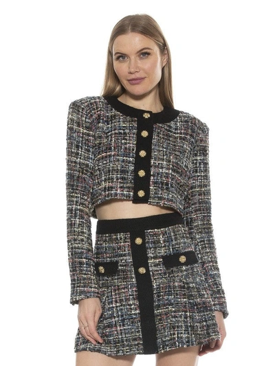 Alexia Admor Cropped Tweed Jacket In Multi