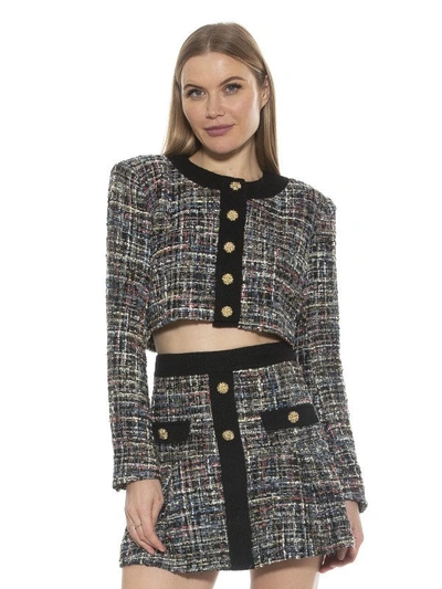 Alexia Admor Cropped Tweed Jacket In Black/ White
