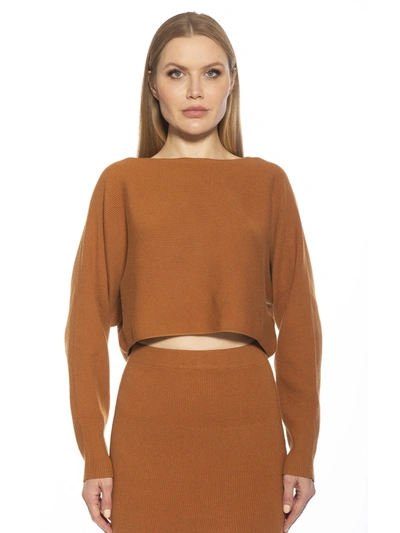 Alexia Admor Ribbed Knit Dolman Sleeve Top In Brown