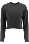 AGOLDE AGOLDE 'MASON' LONG SLEEVE CROPPED T-SHIRT