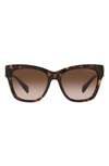 Michael Kors Empire 55mm Gradient Cat Eye Sunglasses In Dk Tort