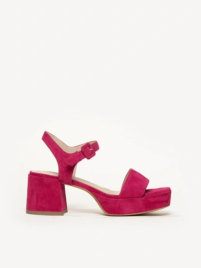 M. Gemi The Lizza Nuova In Fuchsia