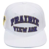 PRO STANDARD PRO STANDARD WHITE PRAIRIE VIEW A&M PANTHERS  EVERGREEN WOOL SNAPBACK HAT