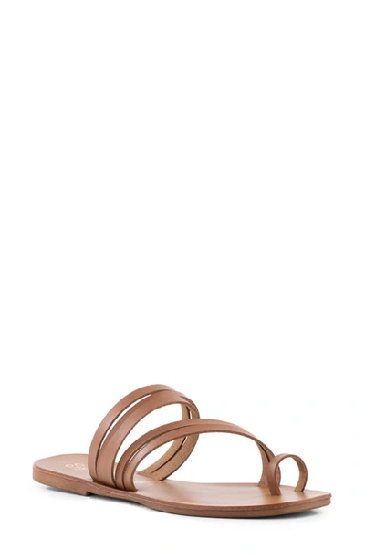 Seychelles Summer Rain Toe Loop Sandal In Brown