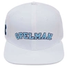 Pro Standard White Spelman College Jaguars  Evergreen Wool Snapback Hat In White