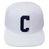 Pro Standard White Coppin State Eagles Primary Logo Evergreen Wool Snapback Hat In White