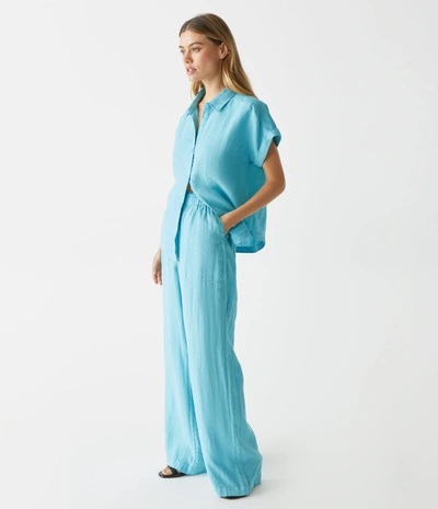 Michael Stars Jules Linen Pant In Pool