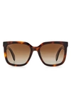 Rag & Bone 56mm Square Sunglasses In Dark Havana/ Brown