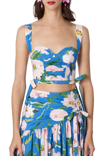 Carolina Herrera Floral-print Ruched Side-ties Corset Crop Top In Lupine Blue Multi