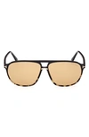 Tom Ford Bruce 61mm Polarized Navigator Sunglasses In Black Brown