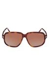 Tom Ford Anton 59mm Square Sunglasses In Shiny Blonde Havana / Brown