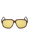 Tom Ford Anton 59mm Square Sunglasses In Shiny Dark Havana / Amber