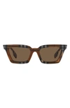 Burberry Briar 52mm Square Sunglasses In Dark Brown