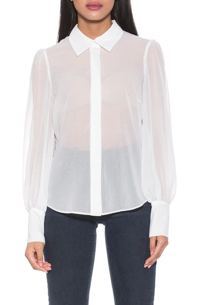 ALEXIA ADMOR ZAYN BLOUSON SLEEVE BUTTON-UP SHIRT