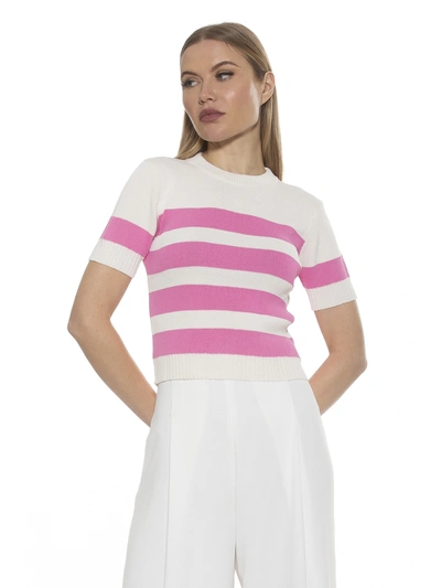 Alexia Admor Pat Stripe Short Sleeve Sweater Top In Ivory/ Pink