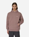 DIME CLASSIC SMALL LOGO HOODED SWEATSHIRT TWILIGHT MAUVE