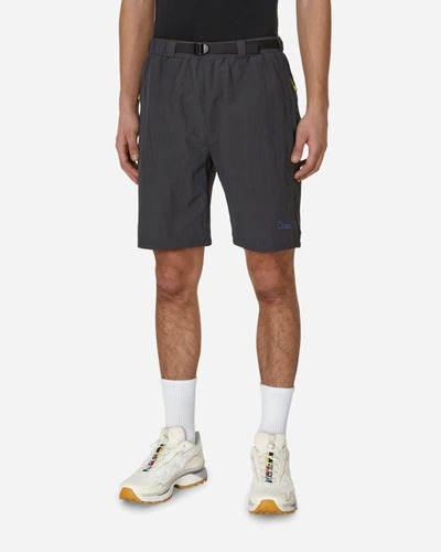 Dime Gray Hiking Shorts In Grey