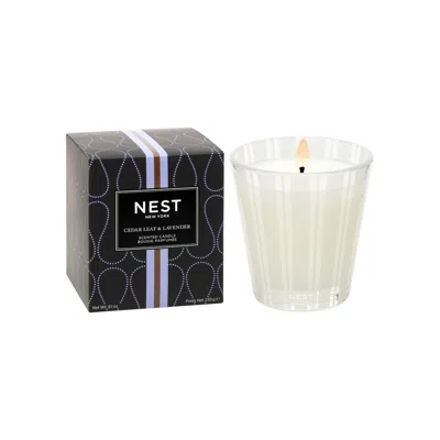 Nest Cedar Leaf And Lavender Candle In 8.1 oz