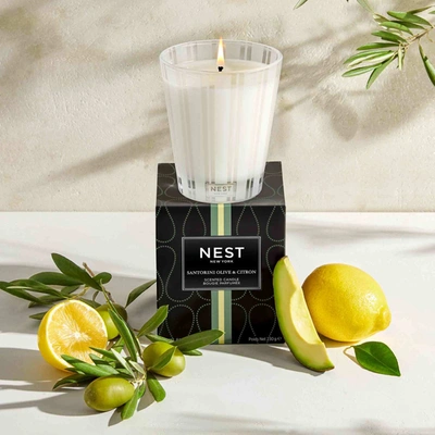Nest Santorini Olive And Citron Candle In 8.1 oz (classic)