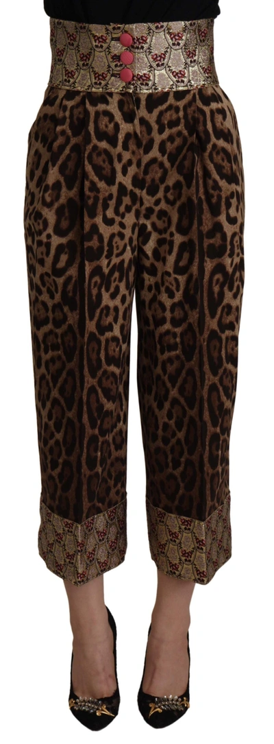 Dolce & Gabbana Brown Leopard Gold Jacquard High Waist Pants