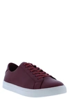 English Laundry Steve Sneaker In Wine