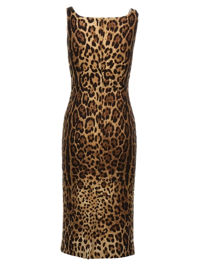 Dolce & Gabbana Animalier Dress Dresses Multicolor