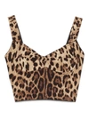Dolce & Gabbana Leopard-print Charmeuse Bustier Top