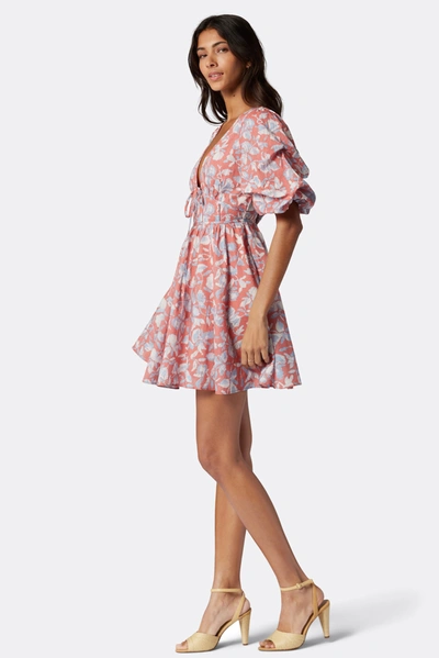 white christmas dresses Lucia Mini Cotton Dress in Blue | 3X