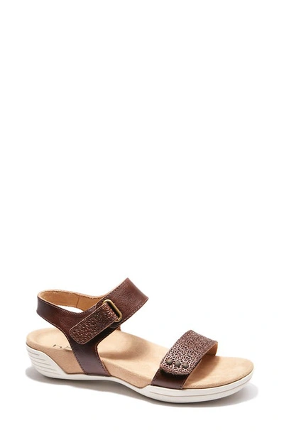 Halsa Footwear Dominica Sandal In Dark Brown