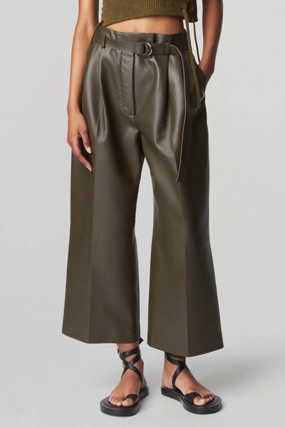 Altuzarra Albany Pleated Leather Wide-leg Crop Pants In Nori Melange