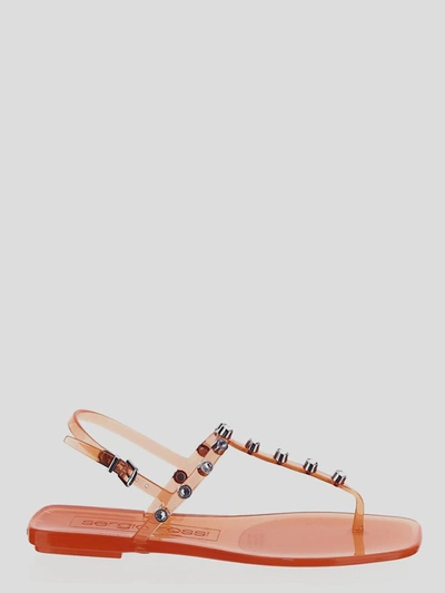 Sergio Rossi Sr Jelly Sandals In Orange