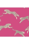 Wallpops Cheetah Print Wallpaper In Pink