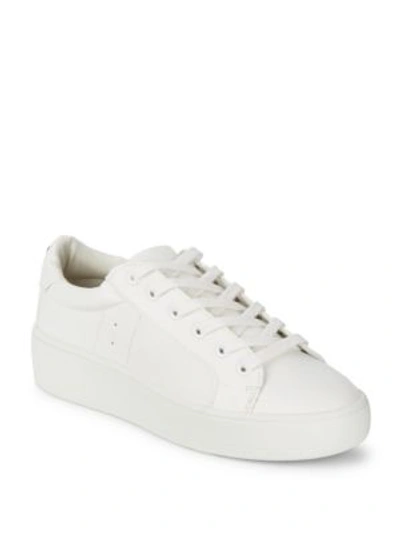Steve Madden Women's Bertie Lace-up Trainers In White