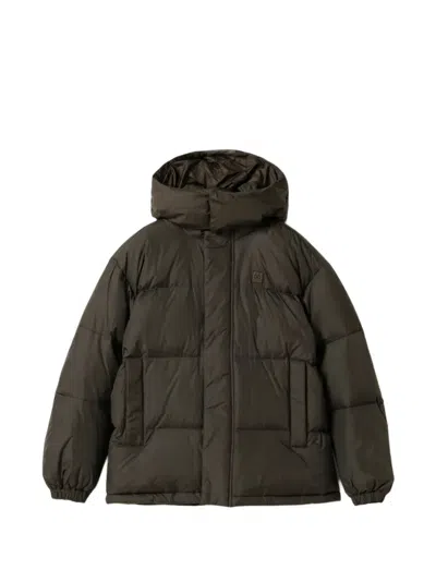 66 North Dyngja Down Jacket In Brown