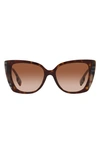 BURBERRY MERYL 54MM GRADIENT CAT EYE SUNGLASSES