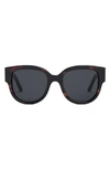 Dior Wild  Acetate Butterfly Sunglasses In Blue Havana/brown Solid