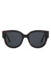 Dior Wild  Acetate Butterfly Sunglasses In Havana