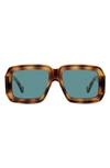 Loewe Oversized Tortoiseshell Square Sunglasses In Havana Blue