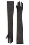 Dolce & Gabbana Long Stretch Tulle Gloves In Black