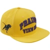 Pro Standard Men's  Gold Prairie View A&m Panthers Evergreen Prairie View Snapback Hat In Gold