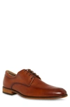 STEVE MADDEN IMALA DERBY