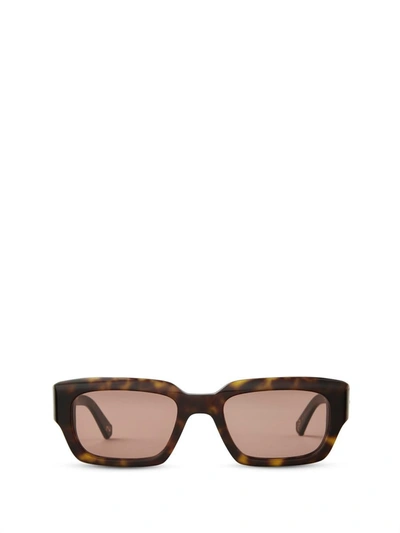 Mr. Leight Sunglasses In Hickory Tortoise-antique Gold
