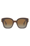 Fendi Oversized F Logo Acetate Cat-eye Sunglasses In Dark Brown