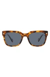Vogue 54mm Polarized Square Sunglasses In Tortoise